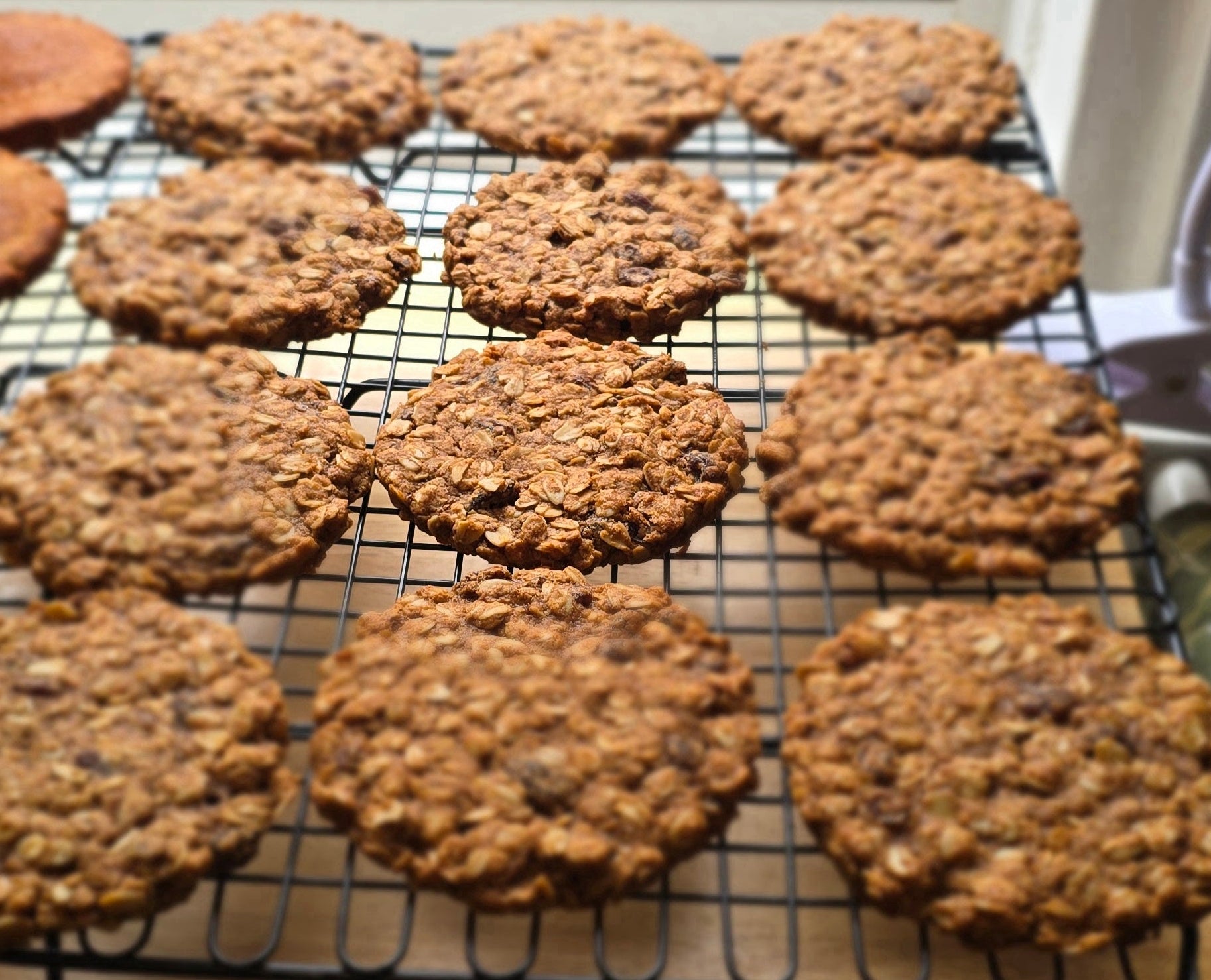 Oatmeal cookies cooling on a wire rack with a window in the background