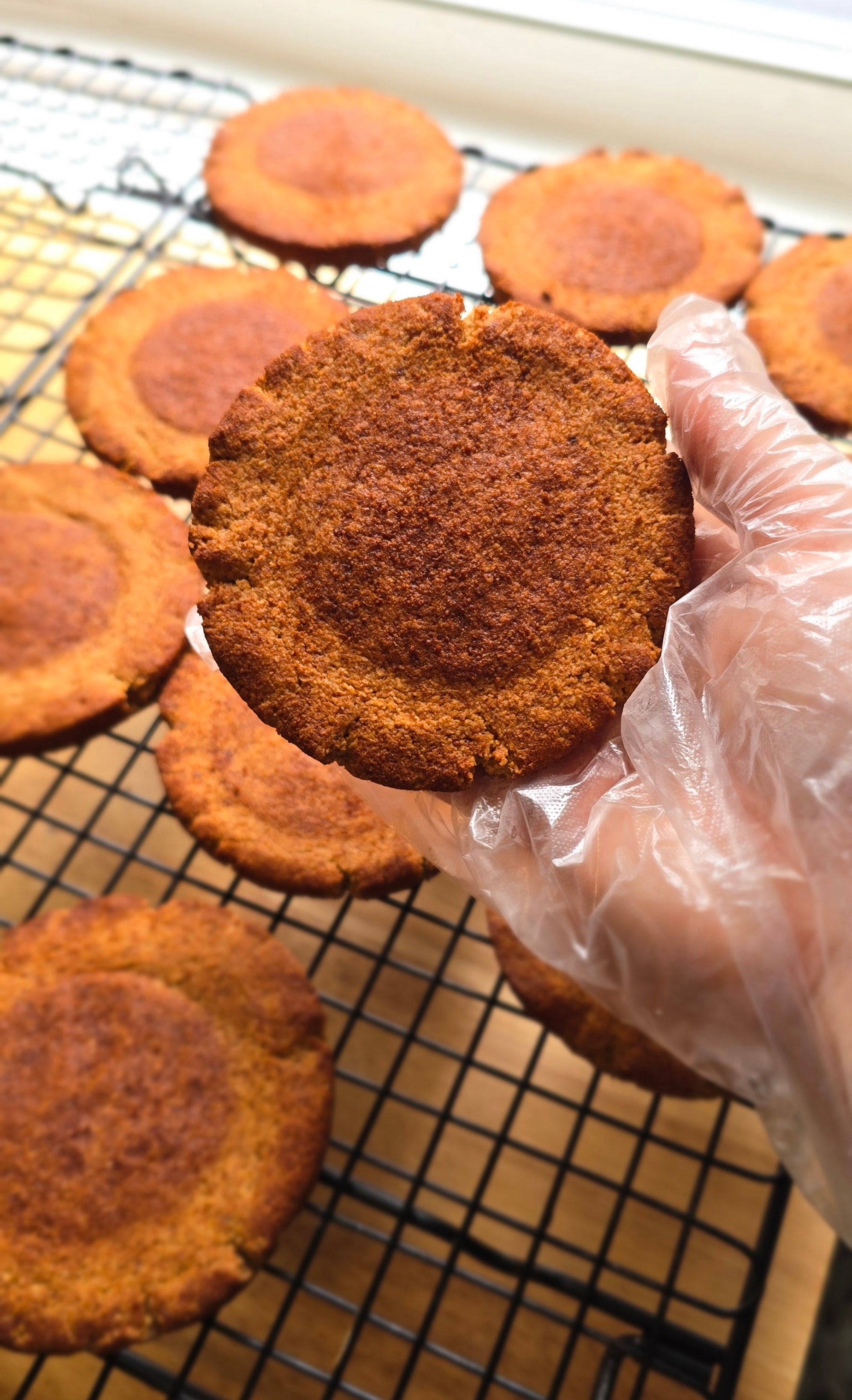 Cinnamon sugar coated baked cookies on a cooling rack with a hand wearing a glove holding one cookie.
